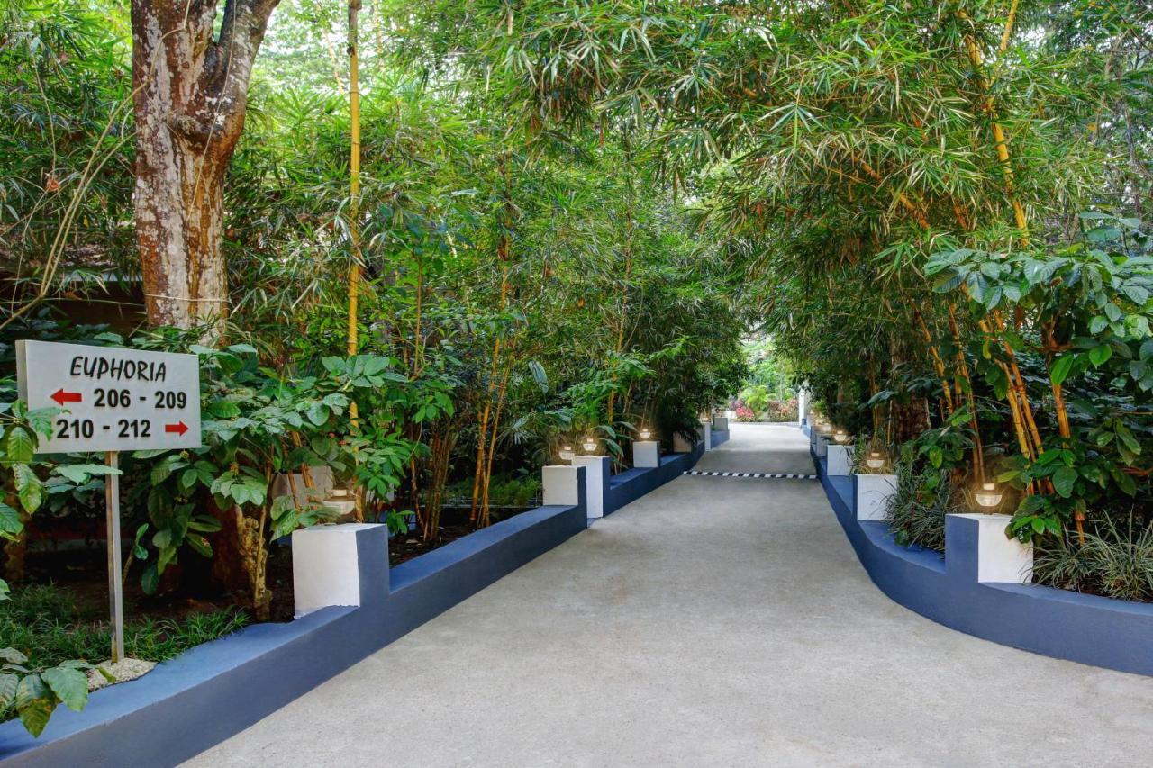 Gokulam Grand Resort & Spa, Coorg Kushālnagar Extérieur photo